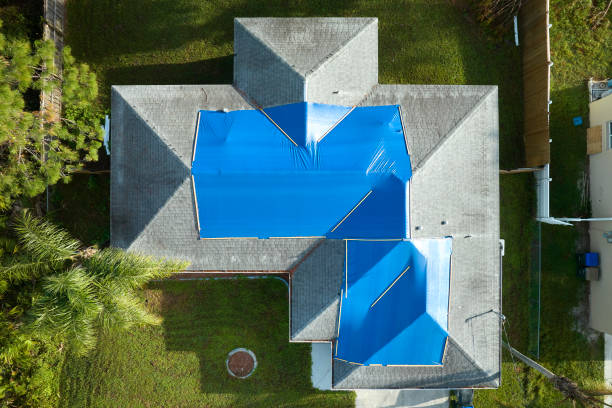 Best Flat Roofing  in Orida City, FL
